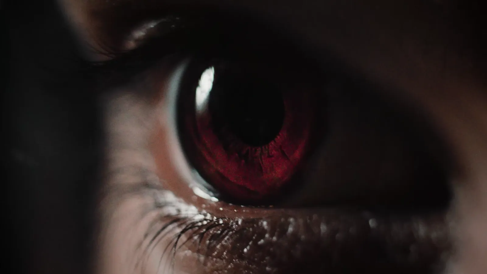 Diego Poncelet — fotograma 1